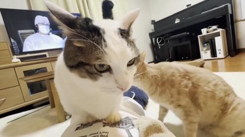 座り込む姿