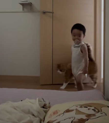 寝室に入ってくる男の子と猫