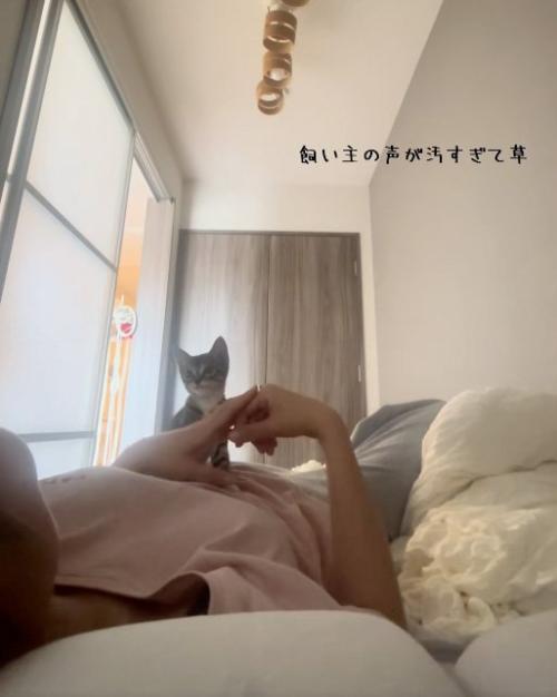 座る猫