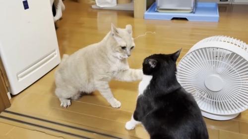 対峙するふたり