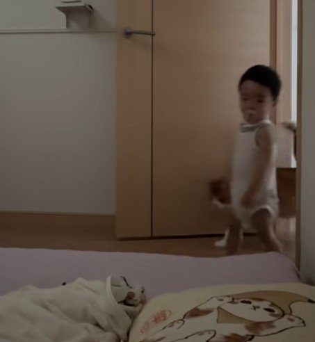 寝室に入ってくる男の子と猫