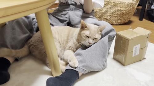足に密着