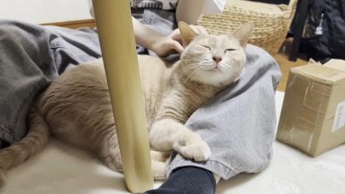 目を細めた表情