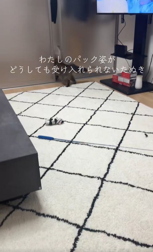 ガラス戸の隙間を通っている猫の後ろ姿