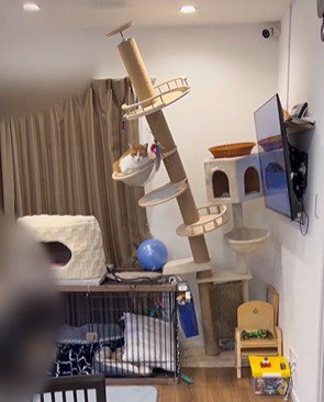 傾いているキャットタワー