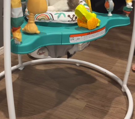 赤ちゃんのおもちゃ