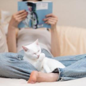 猫があなたに『依存してしまっている』ときの原因4つ　放置してはいけない理由や適切な接し方
