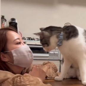 飼い主が『布マスク』をつけて待っていると…猫がとった『まさかの行動』に「可愛すぎて涙が出る」「めちゃめちゃ羨ましい」と21万再生