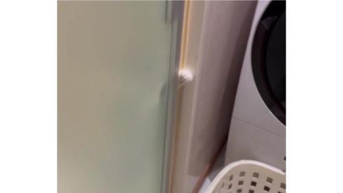 脱衣所と猫の手