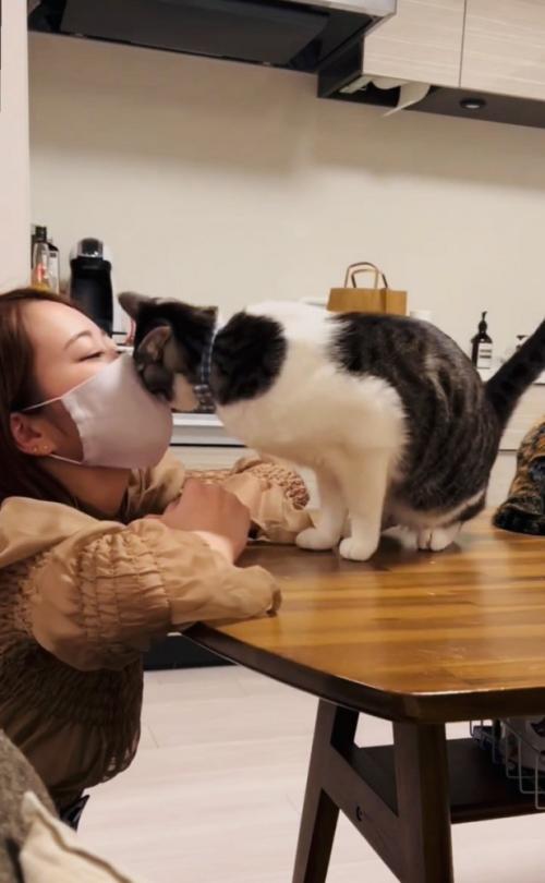 ママさんの顔にスリスリするサバ白猫