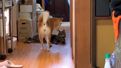 見つめ合うふたり
