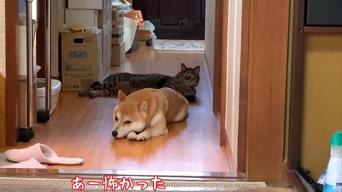 あー怖かった