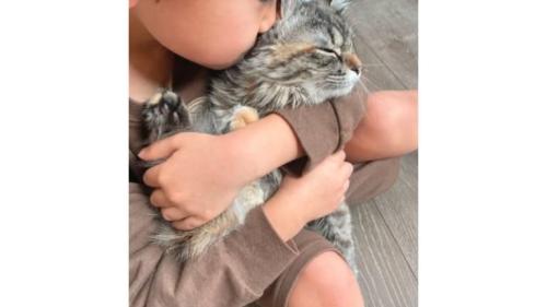 抱かれている猫