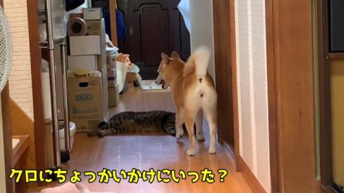 ちょっかいかけにいった？