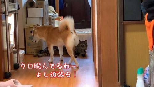 よし頑張る！