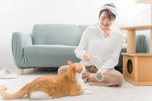 幸せな日常