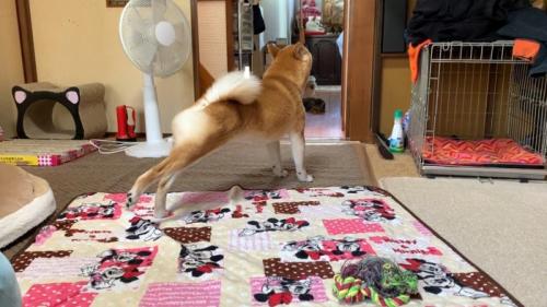 伸びをする後ろ姿