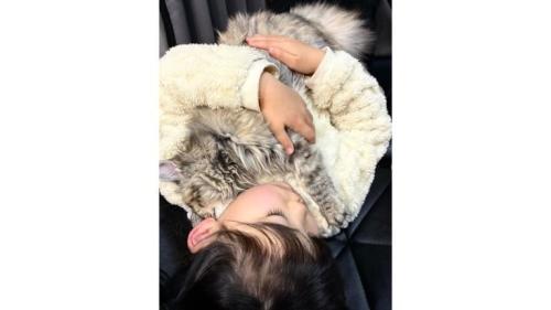 抱かれている猫