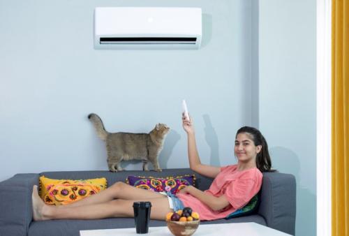 エアコンをつける女性と猫