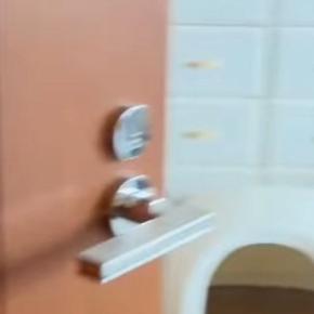 来客に驚いて隠れてしまった猫→『寝室』を覗いてみると…尊すぎる光景が20万再生「上手に入れたねｗ」「何回叫んでも足りないくらい可愛い」