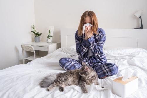 猫アレルギーの女性