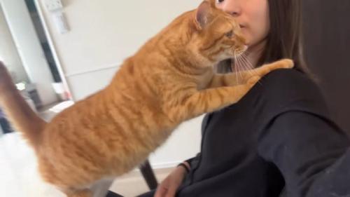 肩に前足