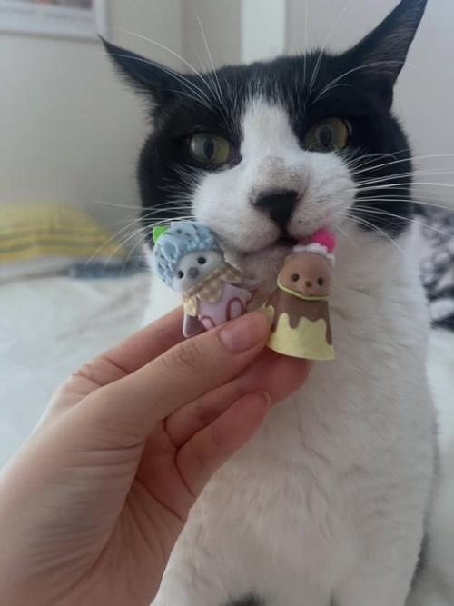 人形と猫