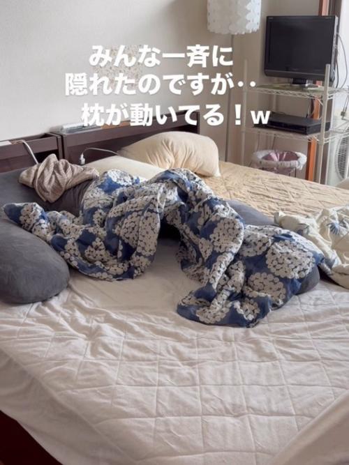 動いている奥の枕