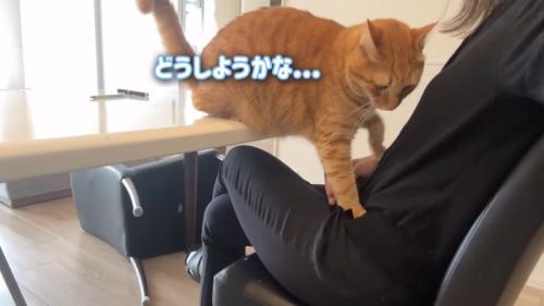どうしようかな…