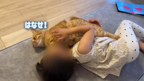 はなせ！
