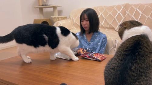 テーブルに乗るふたり