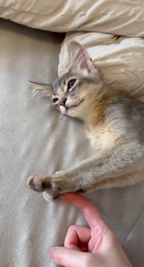 指を挟む湊くん