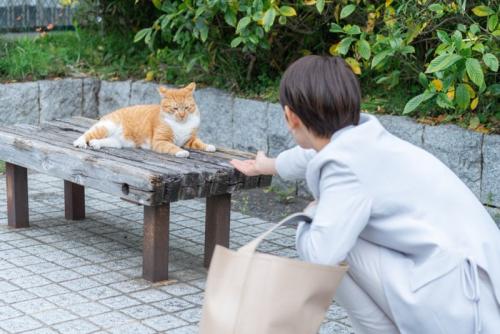 外猫と遊ぶ女性