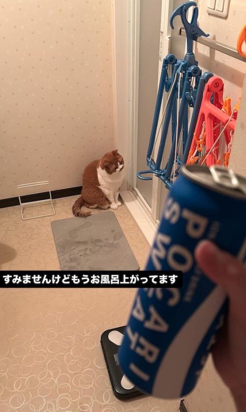 風呂場の前に座る猫