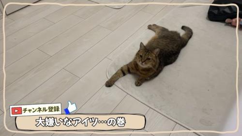 丸顔のみにら君2