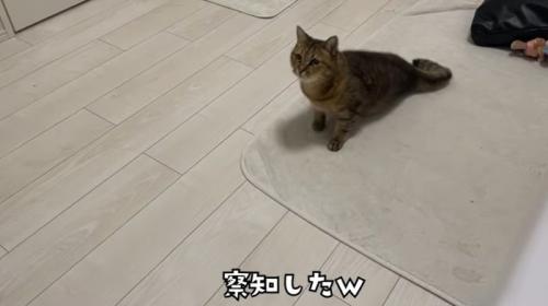 何かを察知したみにら君