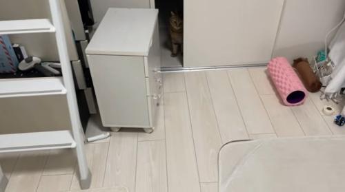 陰から見つめるみにら君2