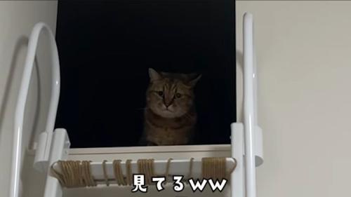 ロフトから確認するみにら君2