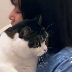 酔っ払いのママに『近づいてしまった猫』→捕まってしまい…笑ってしまう光景が35万再生「顔が本当に好きすぎる」「離れて見守ってるｗ」