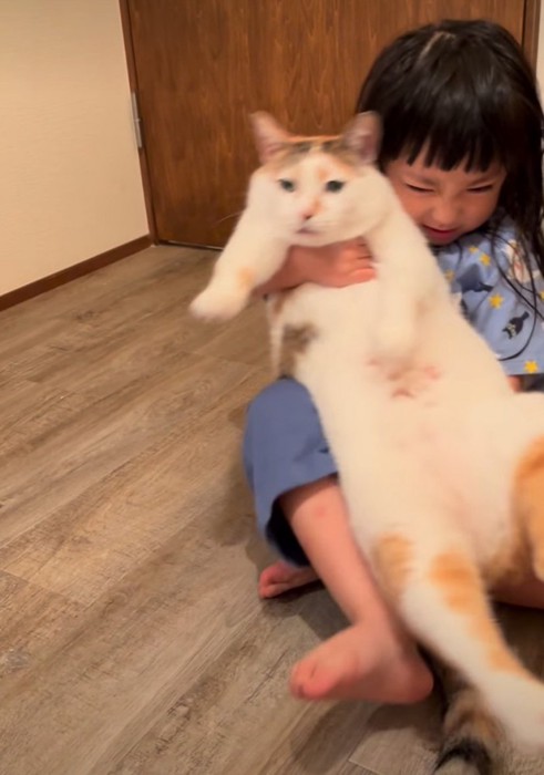 猫を抱っこしようとする女の子
