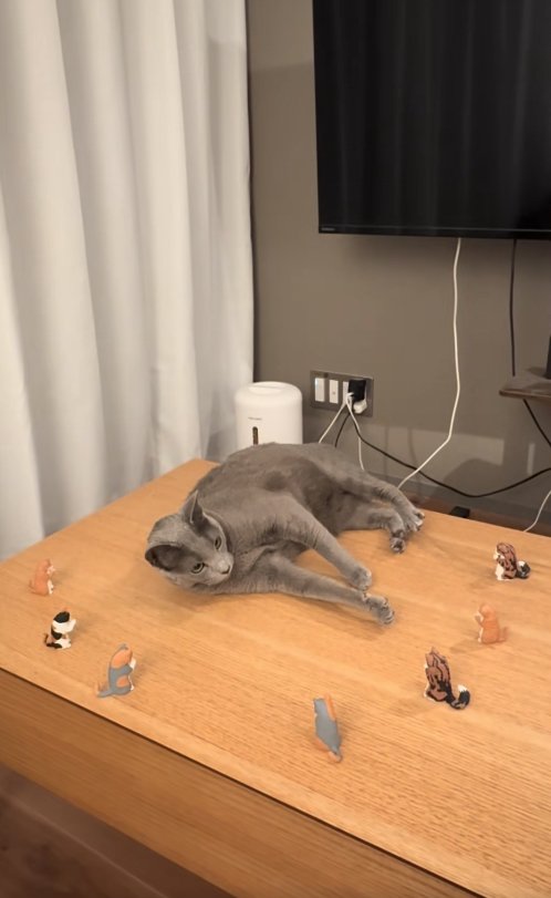 猫の置物に囲まれている猫