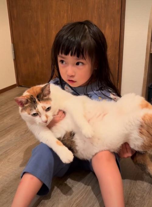 虚無顔の猫