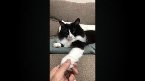 親指でタッチ