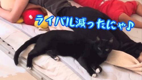 テロップ「ライバル減った~」