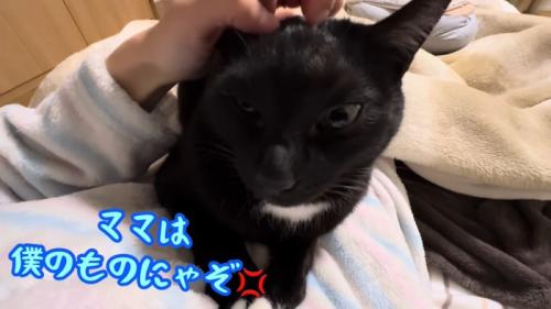 テロップ「ママは僕の~」