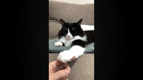 目を閉じた表情