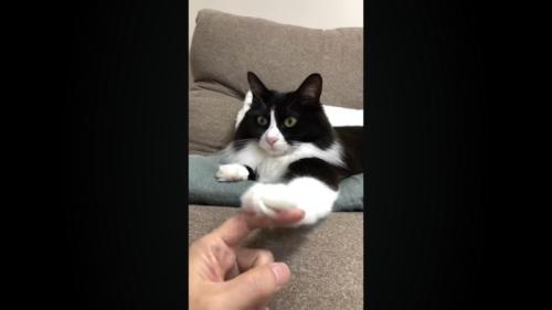 指の背で