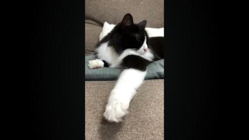 横を向いた姿