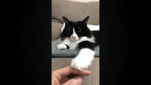 正面から