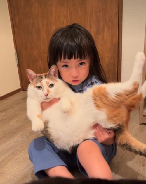 抱っこしようとする女の子